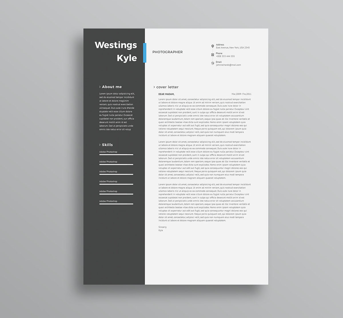 Free Professional Resume Template PSD