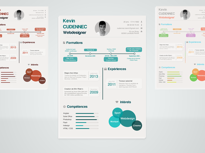 Infographic Resume PSD