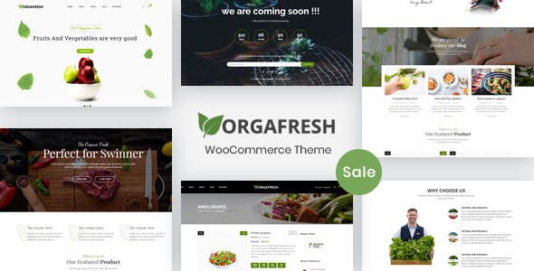 13 - Orgafresh - Organic & Food WooCommerce WordPress Theme