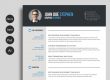 Free Ms.Word Resume and CV Template