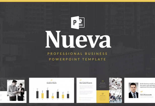 Business Pitch Deck