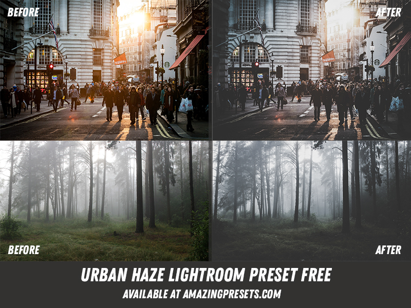 Best Free Lightroom Presets